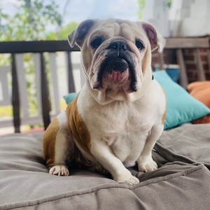 Fundraising Page: Lauralee McNamara